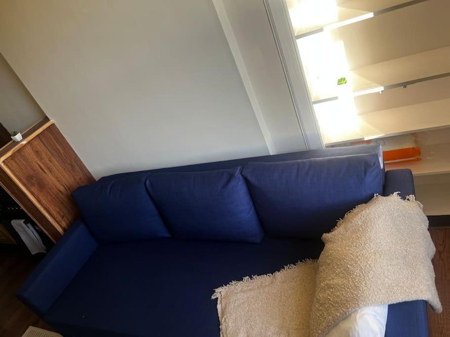 אדינבורו One Bedroom Apartment In Gorgie With New Central Heating System מראה חיצוני תמונה
